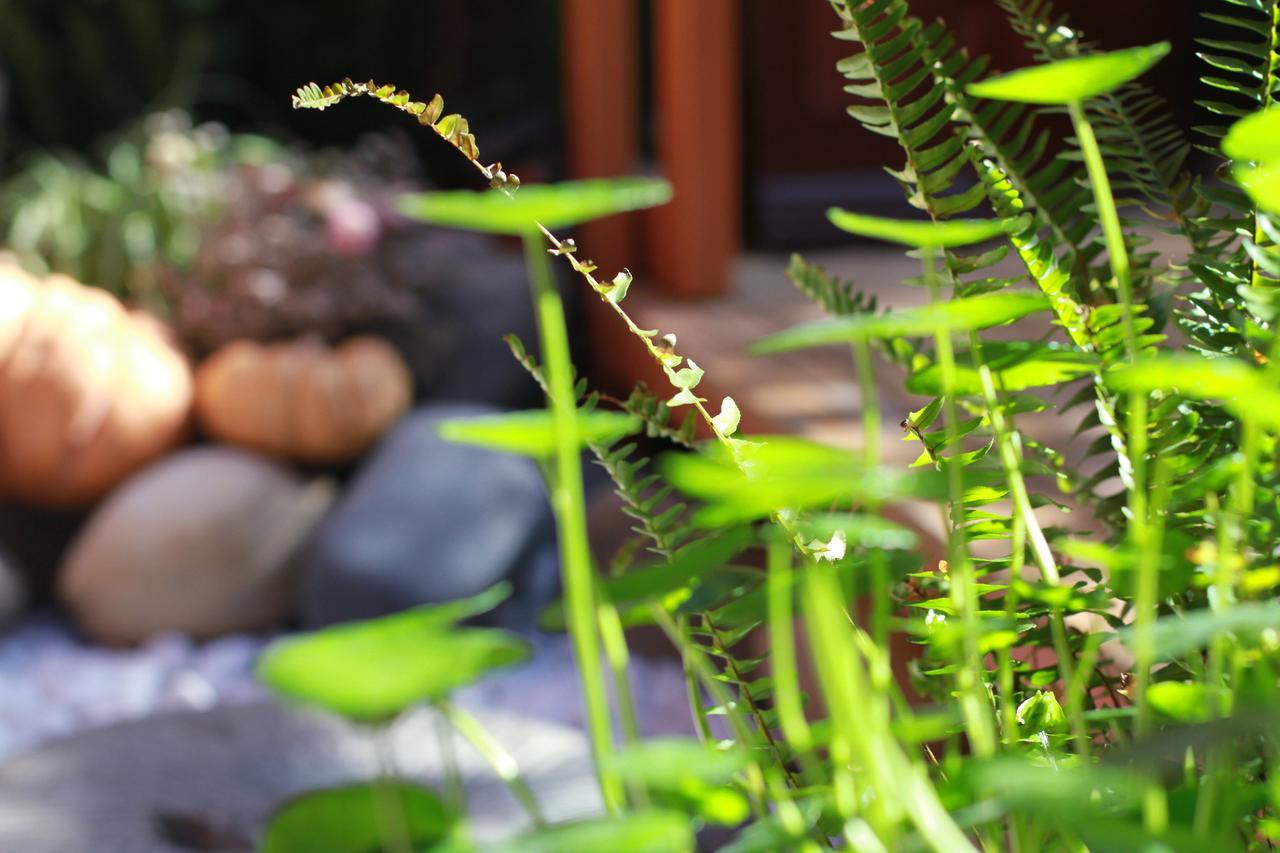 Lijiang Sunshine Nali Inn ภายนอก รูปภาพ